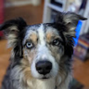 Meet your Posher, Charles